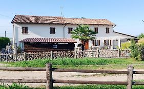 La vigna